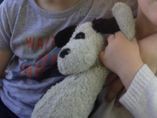 Perdu peluche chien noire et blanche, doudou abimé à Toulouse