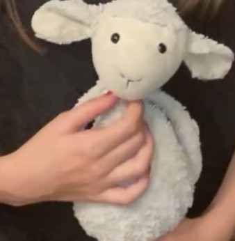 Doudou perdu Aix à proximité de la place des Prêcheurs