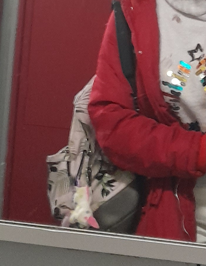 Sac rose à motifs feuilles ? Eastpak