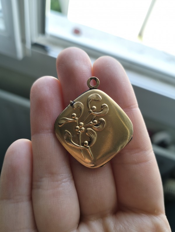 Médaillon trouvé devant la mairie de Bayonne (64100)