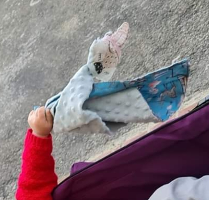 Perdu doudou carré bleu tête renard