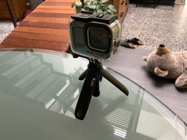 Go Pro