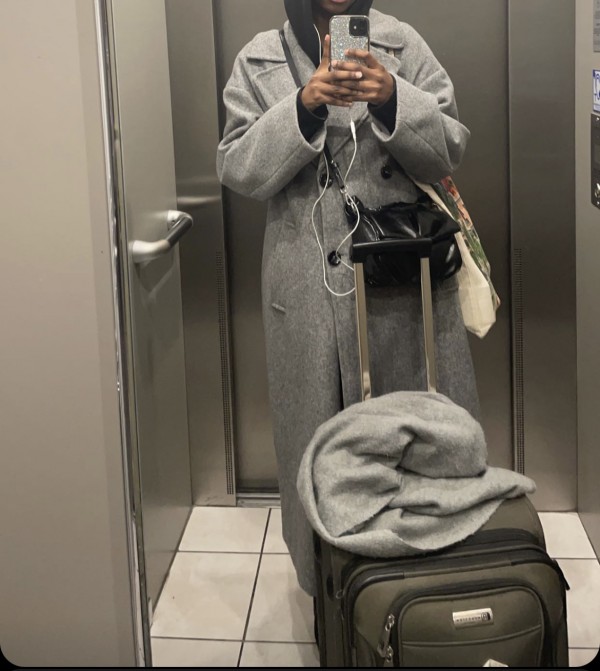 Valise kaki/marron volée à la gare saint Charles de Marseille ou à Cannes