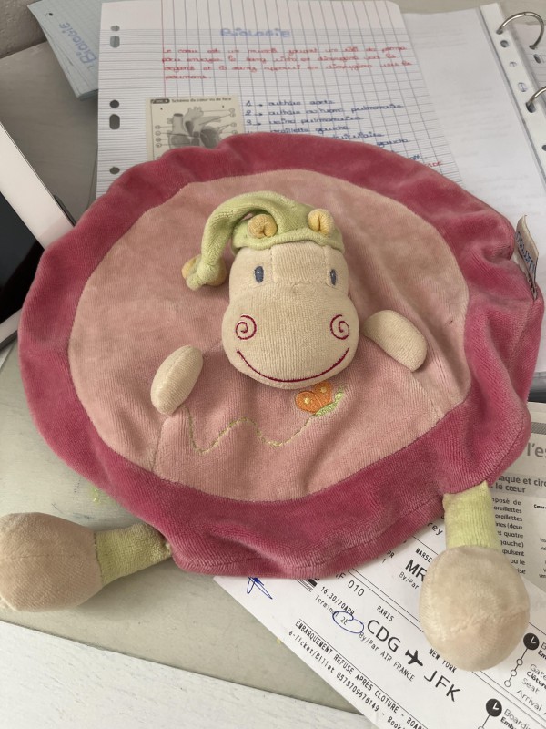 doudou perdu