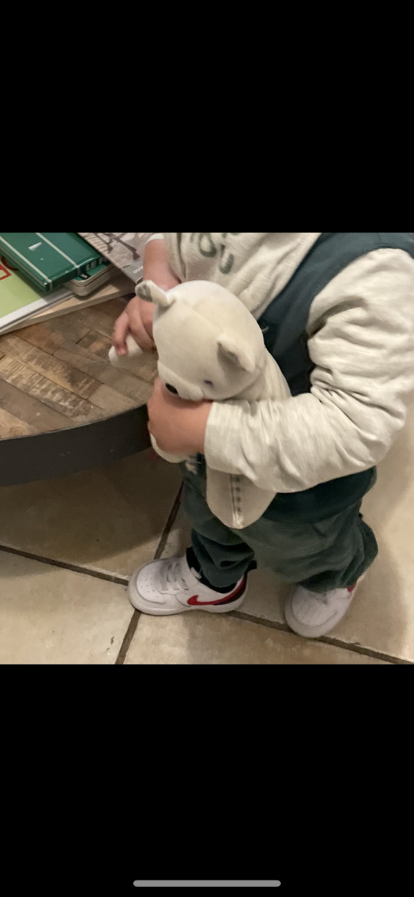 Doudou perdu