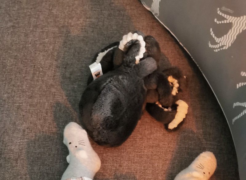 Doudou pieuvre