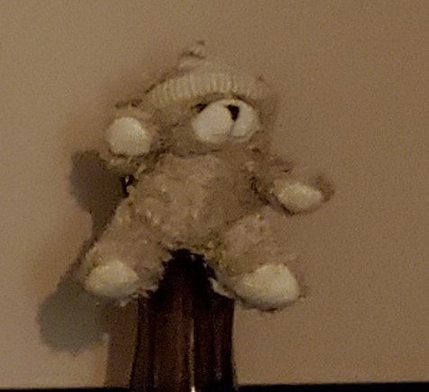 Perdu petit ours gris en peluche a Ciboure (64500)