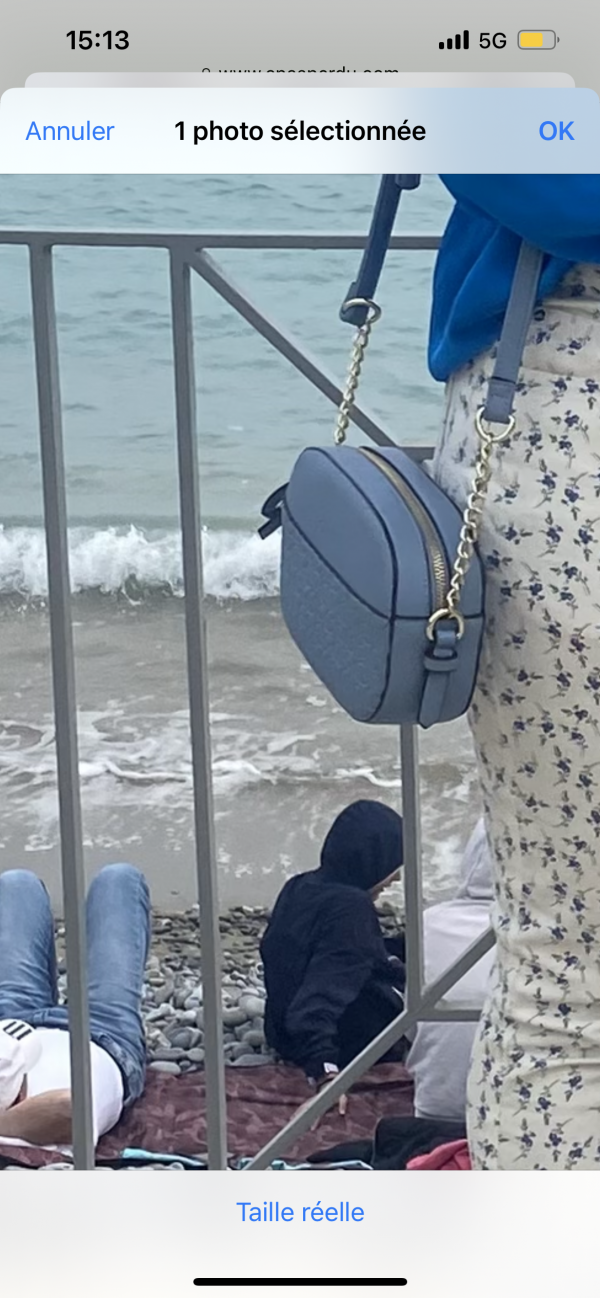 Sac Guess bleu perdu secteur chartreux