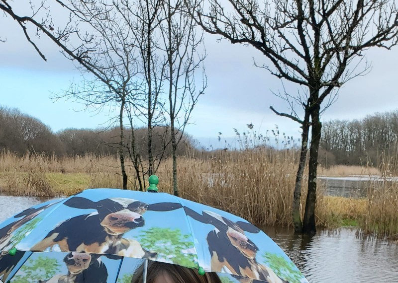 Parapluie enfant vert avec des vaches ligne 4 arrêt porte de Vertou