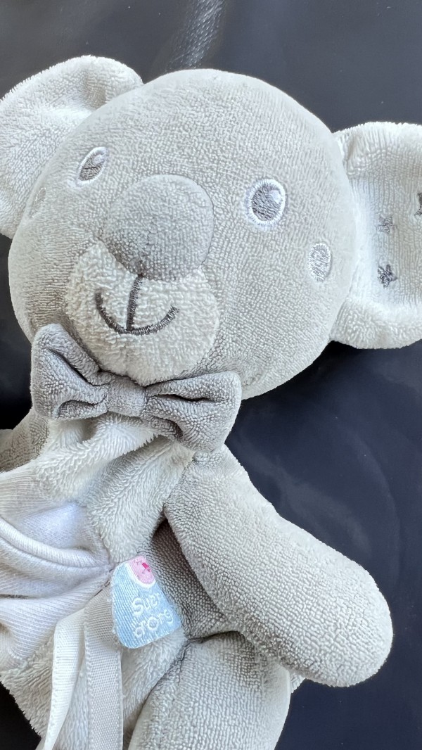 Doudou trouvé ce matin à l’aéroport de Toulouse