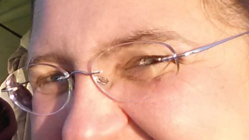 Lunettes argentes, Silhouette volées