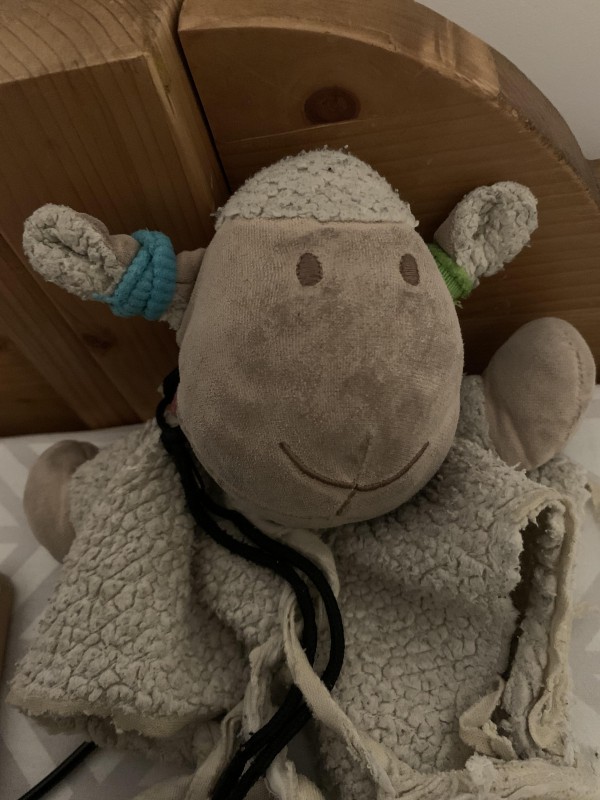 Doudou Mouton