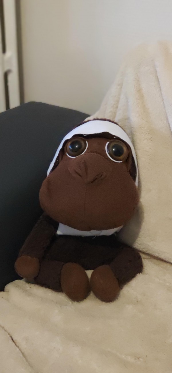 Singe ? marron sans queue