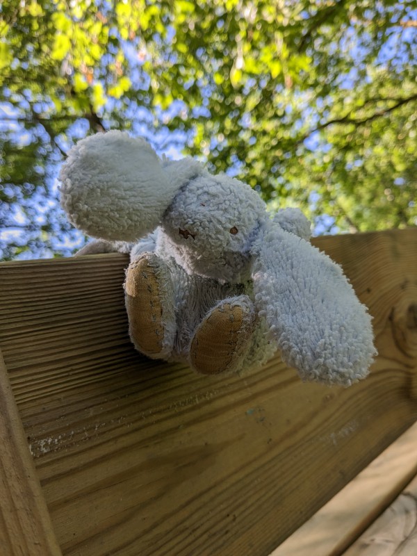 Doudou lapin bord erdre