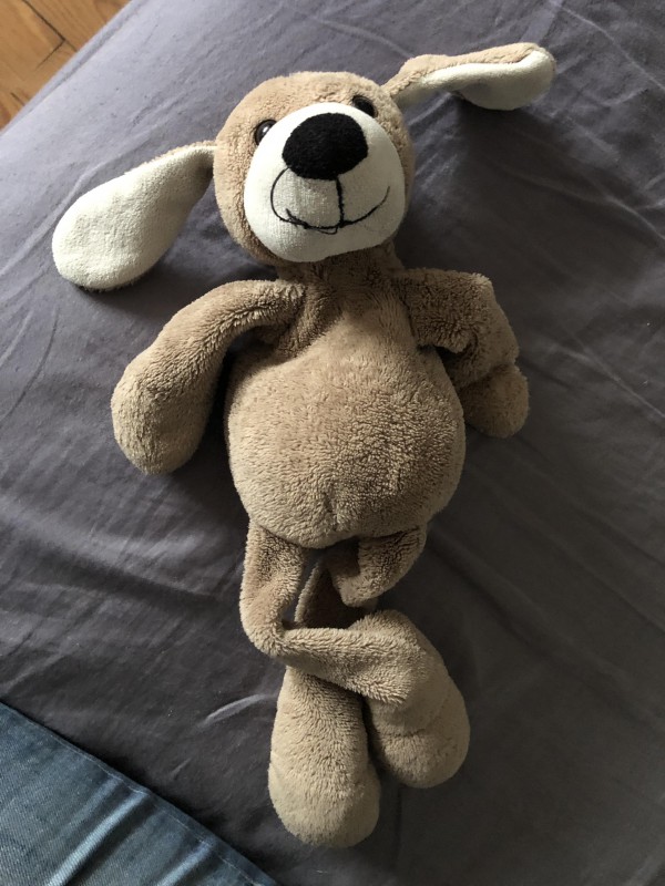 Doudou chien perdu en 2018