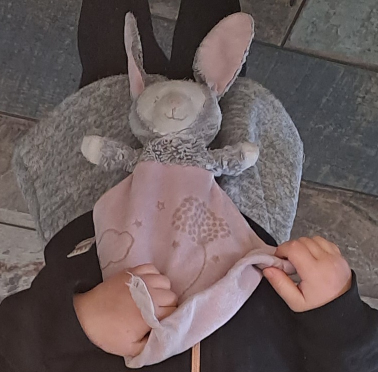 Doudou lapin fille perdu à Disneyland