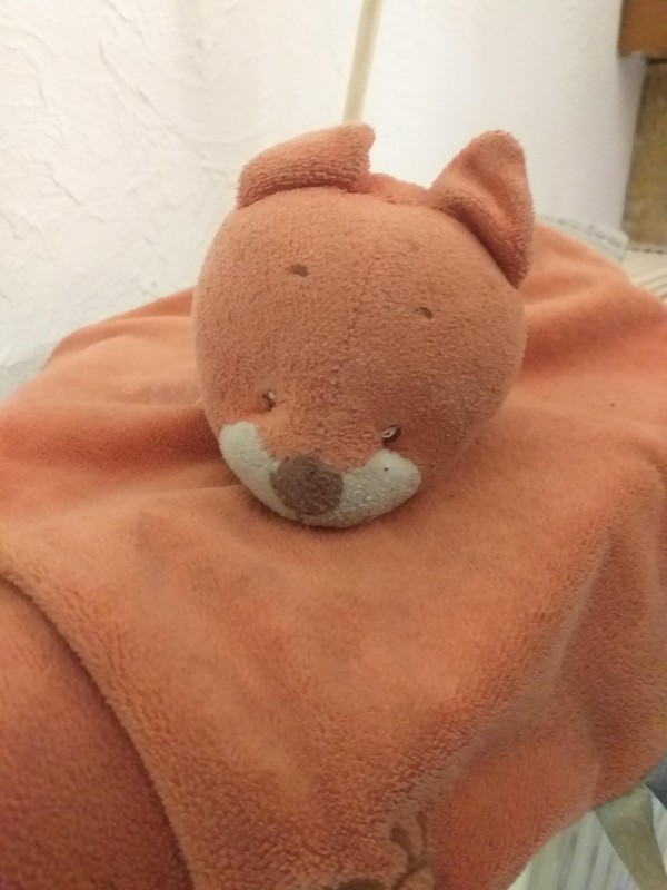 Doudou trouvé à Memenil