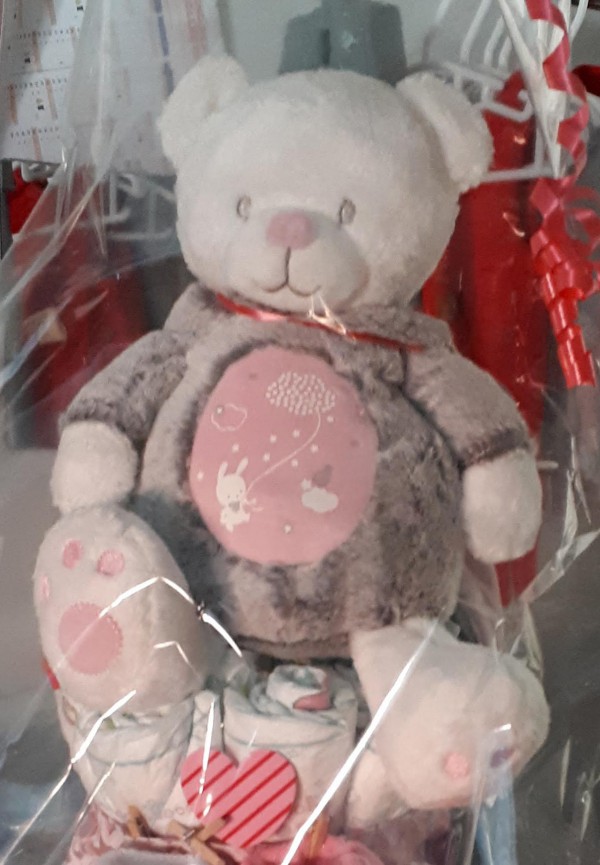 Perdu Doudou ours lapin Damgan Penerf