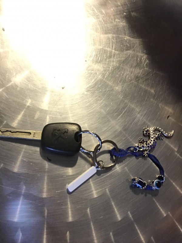 Clés Peugeot avec un porte clés salamandre