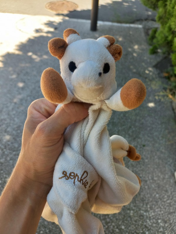 Trouvé doudou girafe Salon de Pce secteur gare SNCF