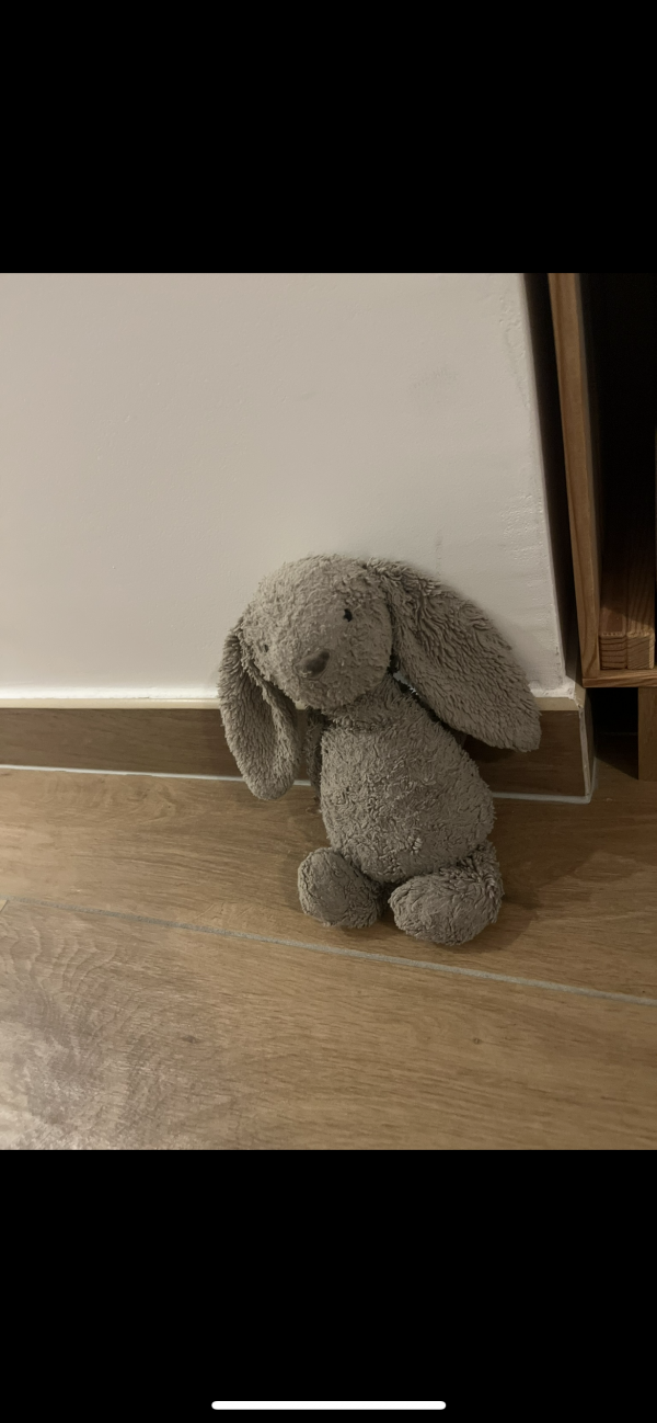 Perdu doudou lapin