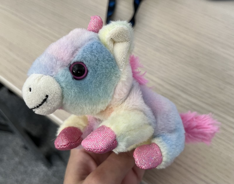 Peluche Licorne trouvée sur les Champs-Elysées