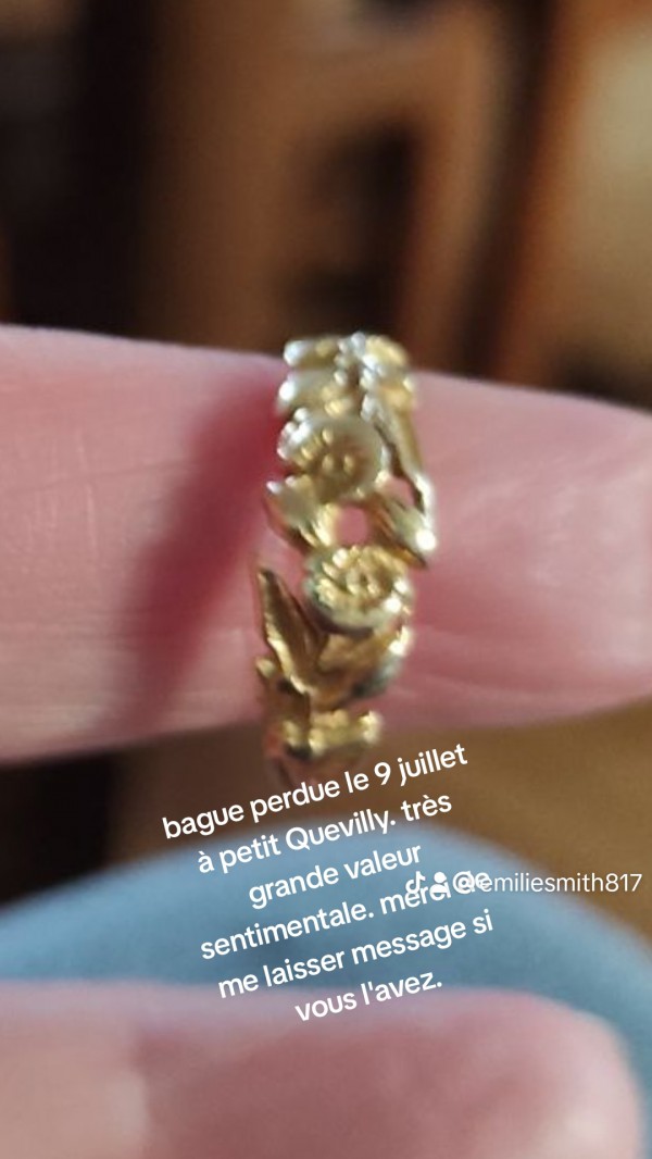 Bague perdue petit Quevilly le 9 juillet