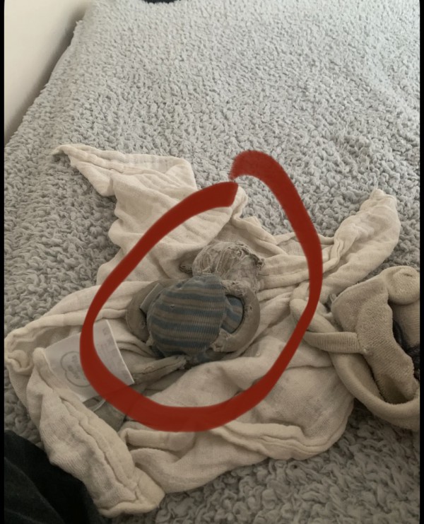 Perdu doudou souris à Strasbourg, près ou dans la gare
