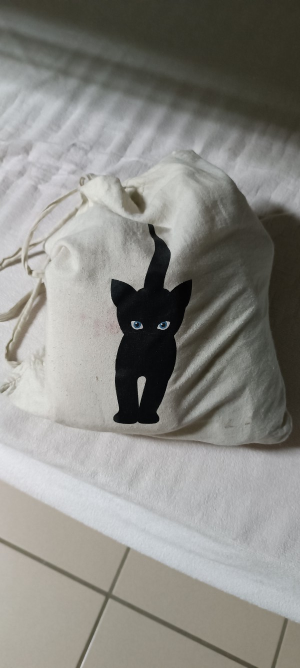 Appareil photo canon dans totebag chat noir