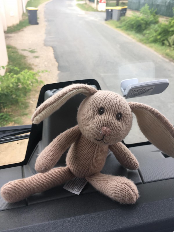 Doudou lapin trouvé à Reyrieux 01600