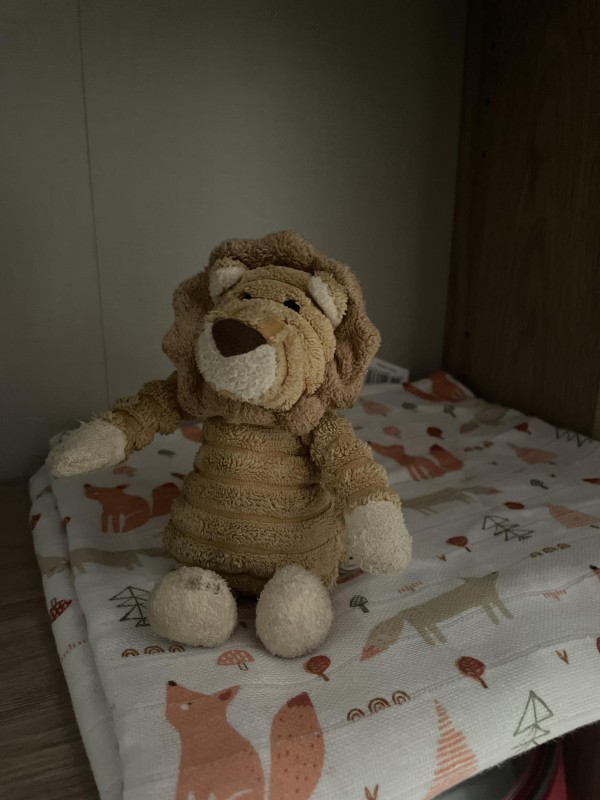 Doudou Lion avec anneau blanc