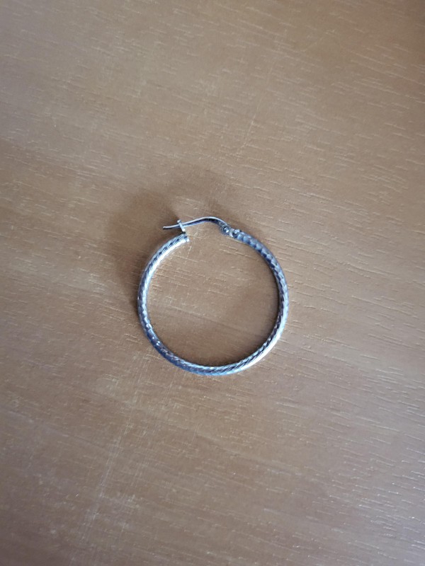 Boucle d'oreille creole à jard sur mer