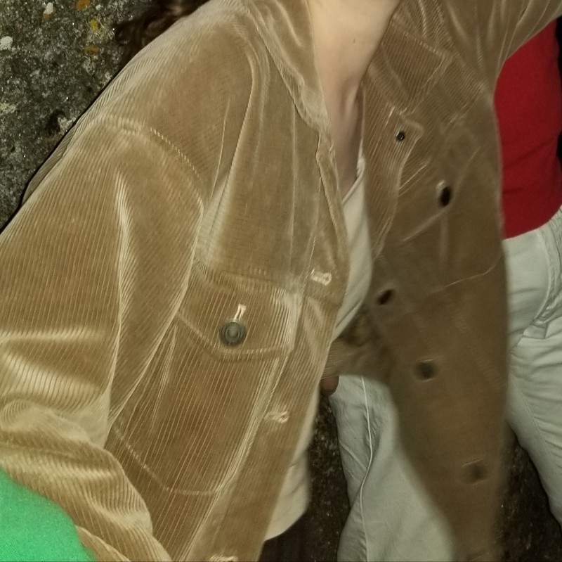 Perte d'une veste en velour marron au gabut, la Rochelle