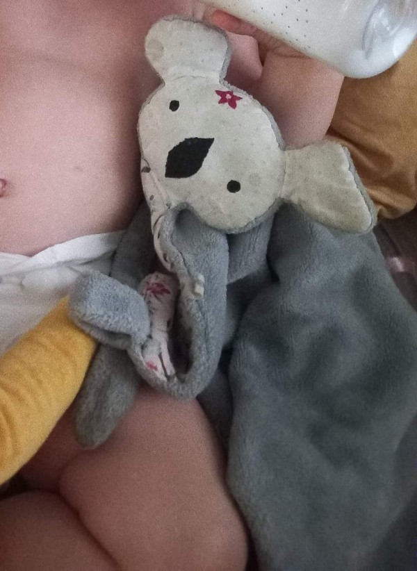 Doudou koala