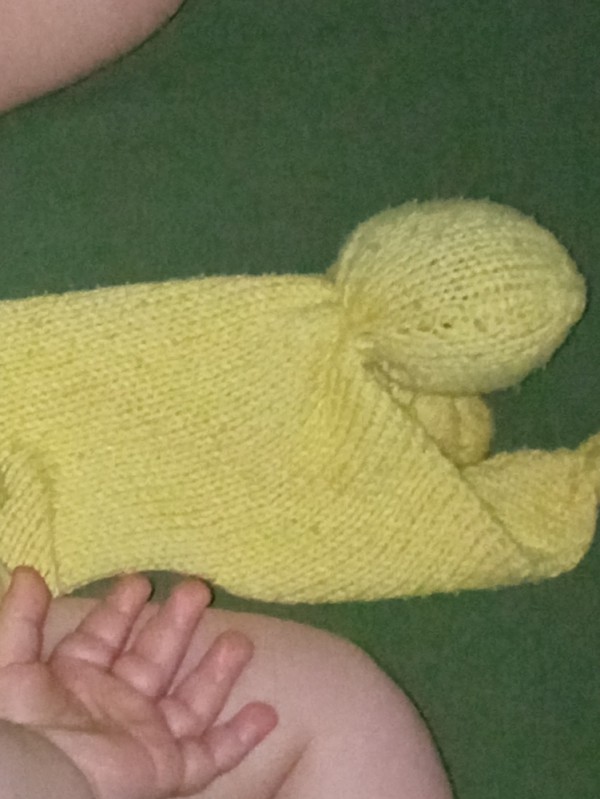 Sac à langer + doudou + carnet de santé