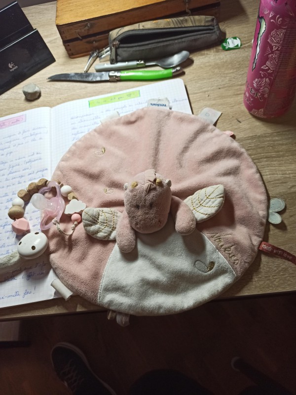 Doudou plat rose avec tétine