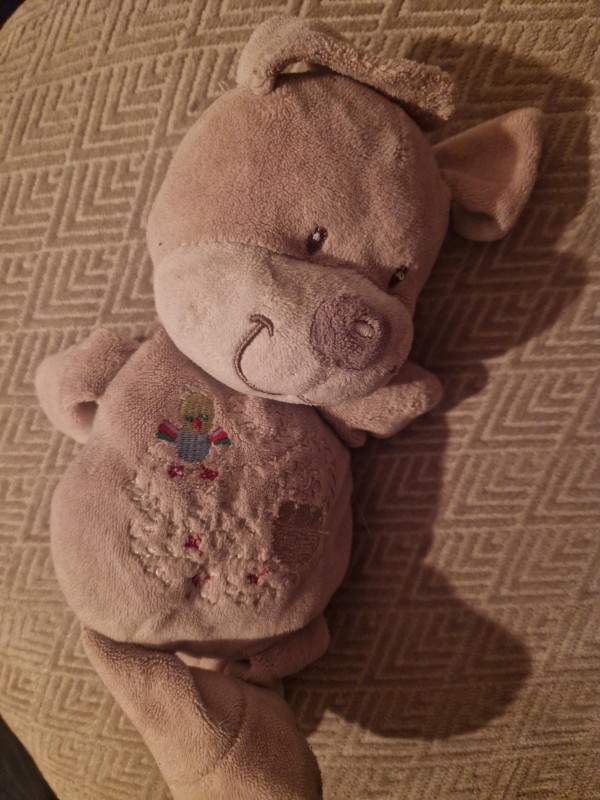 Perdu doudou dans le train Rouen/Lille de 17h09.