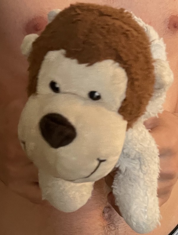 Perdu doudou singe capuche blanche à Nancy