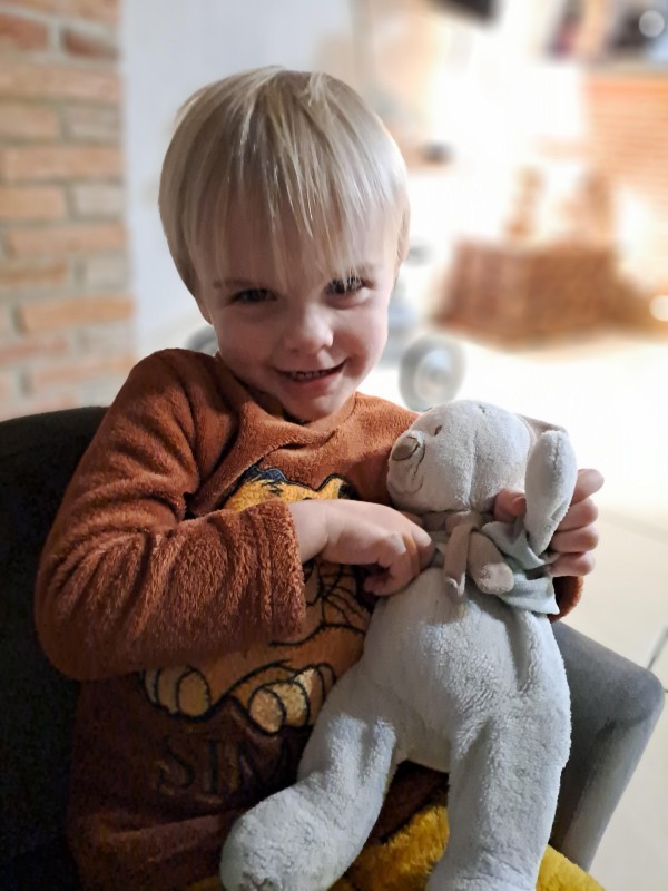 Perdu Doudou peluche, 31/07, deauville ou trouville à proximité du port