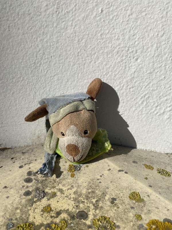 Doudou cerf