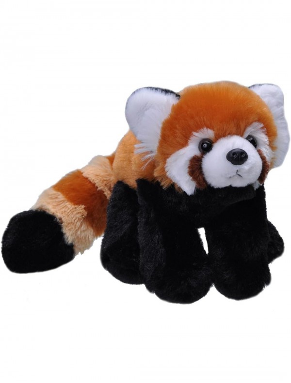 Peluche panda roux autoroute AP7 Espagne en dessous de barcelone