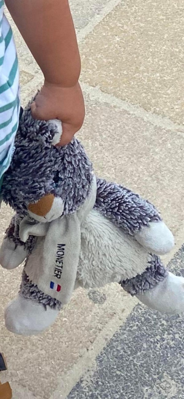 Doudou lapin peluche perdu canche touquet