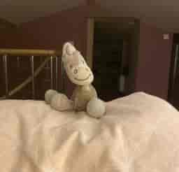 Doudou vache perdu blablabus