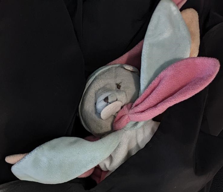 Doudou perdu à Angers, dans le parc de loisirs de Villoutreys