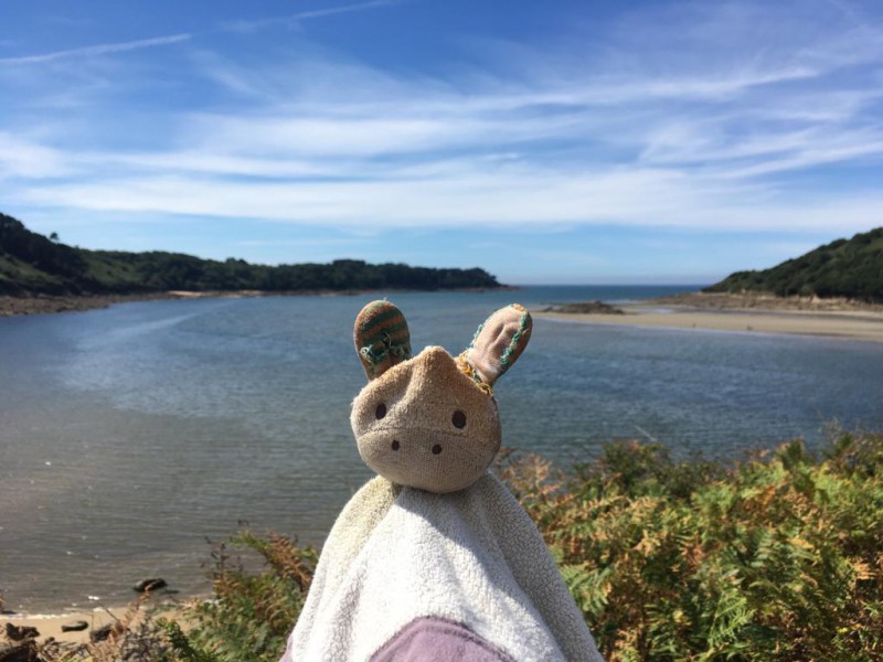 Doudou « Ane » perdu à Ploemeur