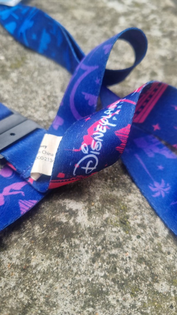 perdu trousseau cle cordon bleu motif disney à paris 12 eme