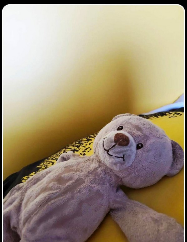 Ourson marron
