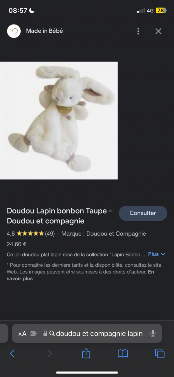 Doudou doudou et compagnie perdu dans un tgv à destination de la gare Macon Loché