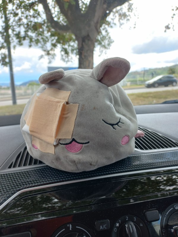 Perdu doudou gros lapin blanc kawaii