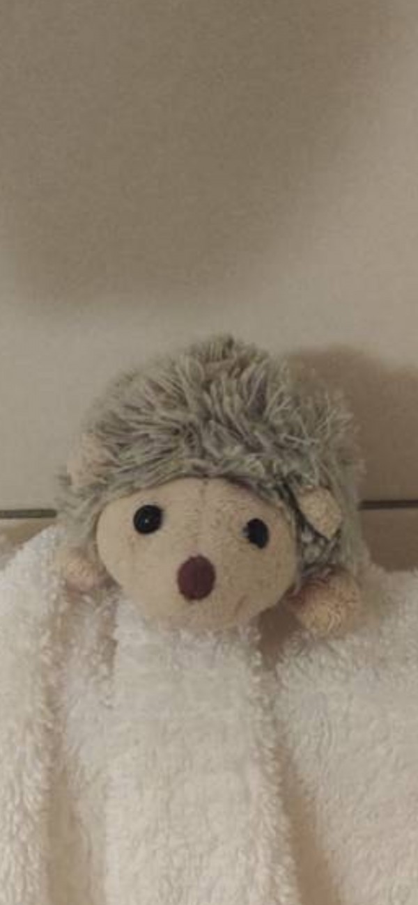Peluche hérisson à Clermont Ferrand, vers Five Guys